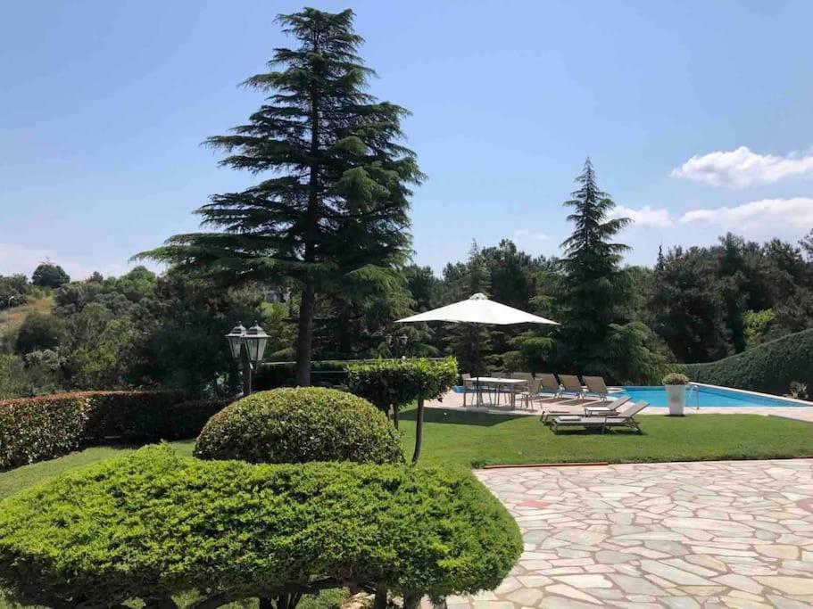 Villa Casa Chrissy 普拉奇里奥 外观 照片